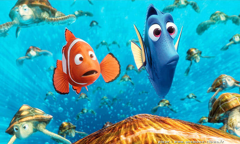 Le Monde de Nemo 2, film Pixar 2016