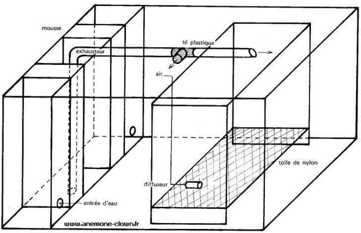 Schema du bac d'élevage des poissons-clowns