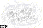 cryptodendrum adhaesivum 9050