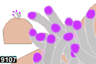 heteractis magnifica, anemone 9107