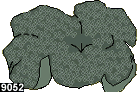 stichodactyla haddoni 9052