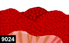 stichodactyla mertensii 9024